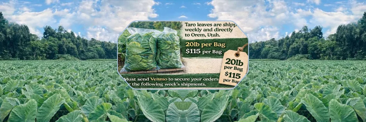 Da Utah Taro Leaf Man banner